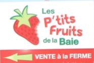 les-petits-fruits-de-la-baie